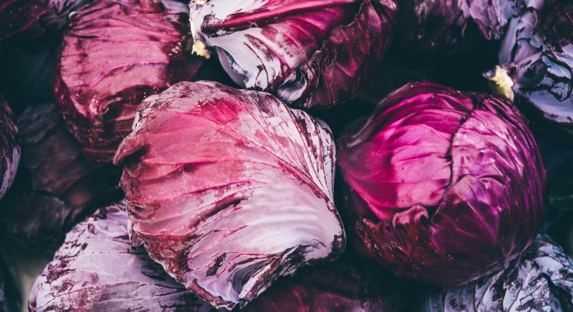 Hihetetlen, de igaz: ennyibe kerül most a káposzta a lengyel piacokon