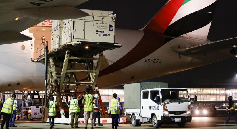 Kint rekedtek – Óriási feladataik vannak az iráni háború miatt az utazási irodáknak