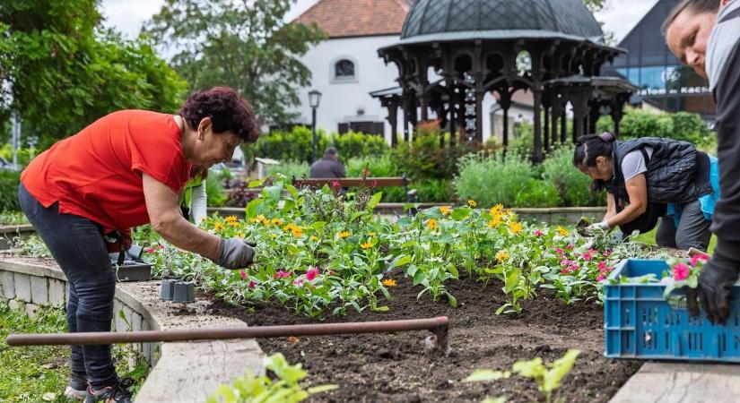 Virágosabb, fenntarthatóbb várost terveznek Tatán