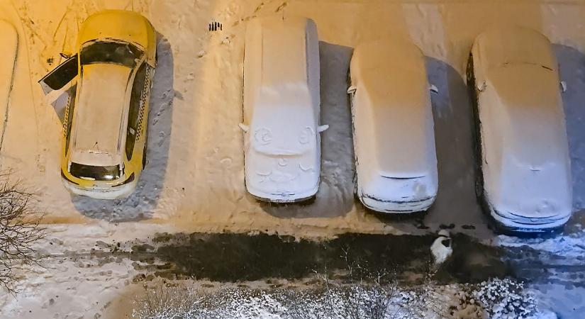 Már csak két hagyományos taxiscég maradt talpon Budapesten