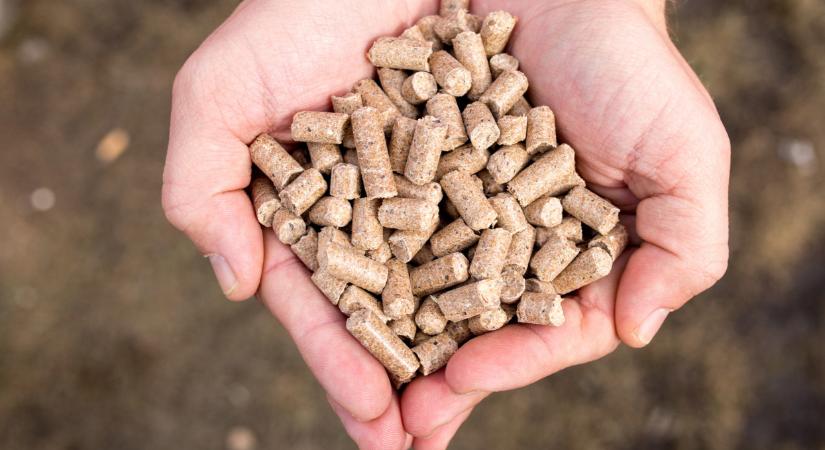 Nem semmi: óriási beruházásba kezd a magyar takarmánygyártó Mezőlakon