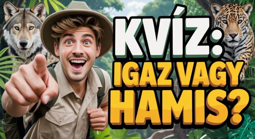Kvíz: 8 igaz vagy hamis állítás a természet különleges lakóiról