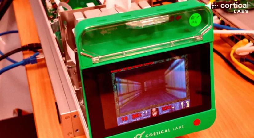 Elég bizarr, de élő emberi agysejtek játszanak a DOOM-on