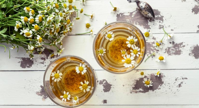 A középpontban a gyógynövények szerepe és védelme