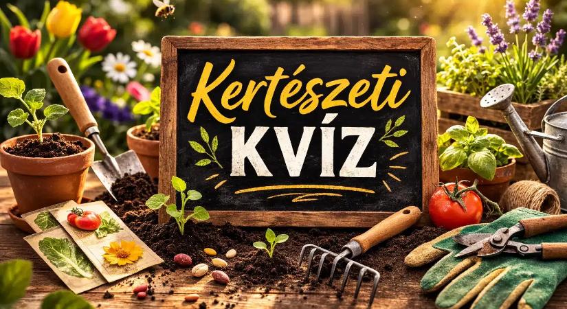 Kertészeti kvíz: Teszteld, mennyire zöld a tudásod! Most megmutathatod!
