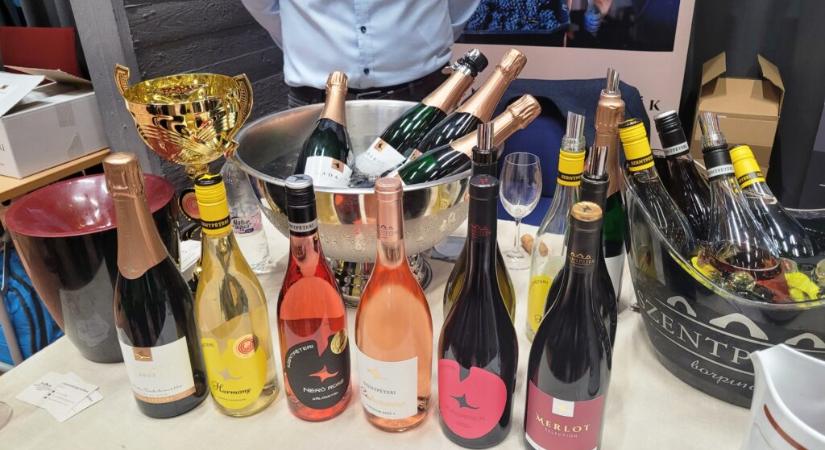 Újbor és Sajt Fesztiválon jártunk…