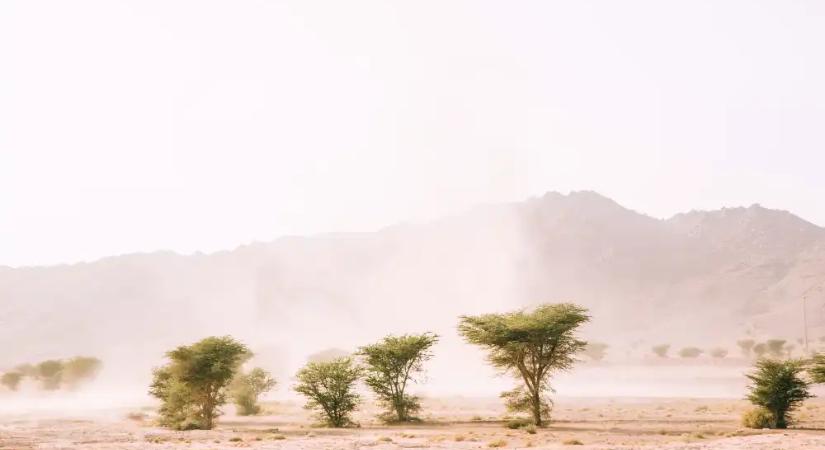 Magyarországot is eléri a Szaharai por – mit érdemes tudni?