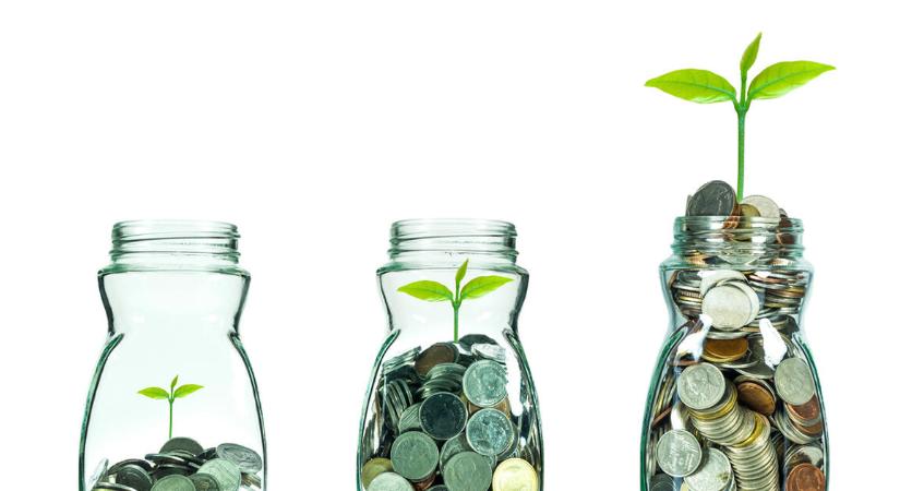 Több cég férhet hozzá az ingyenpénzhez