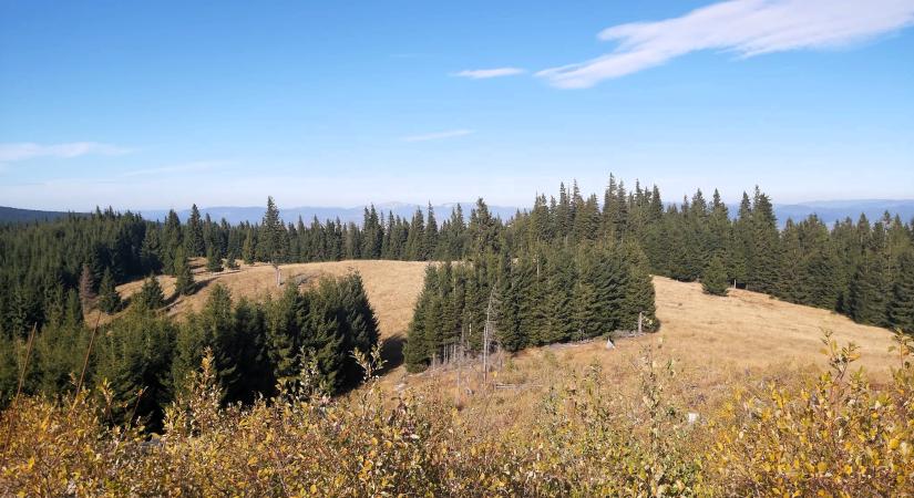 A hegyvidéki ökoszisztémák jövőjéről tanácskoztak Csíkszeredában