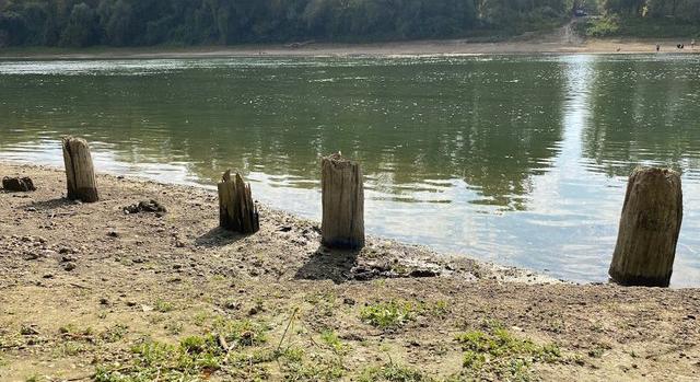 Középkori révátkelő maradványait azonosították a Tiszában