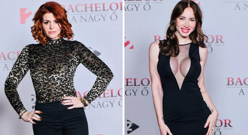 „Számító manipulátor” – újabb Nagy Ő-s vetélytársa szállt bele Kiara Lordba