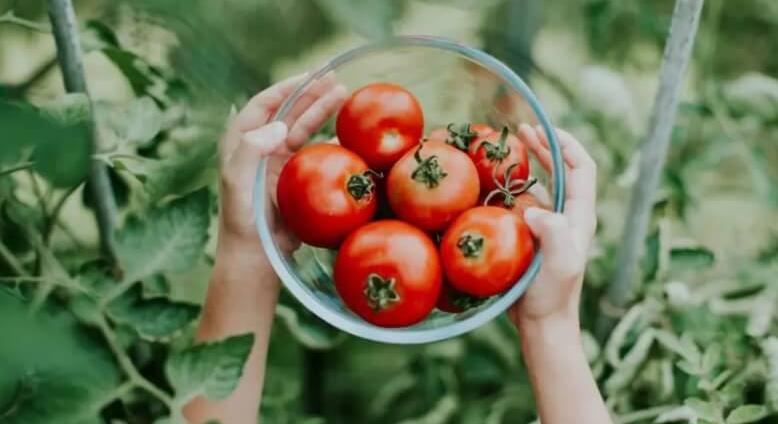 Mediterrán ízek otthon – nyaralás a tányérodon