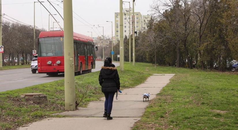 Több száz milliós kerékpárút-beruházás jön, de a kátyúk maradnak? Vita robbant ki Szegeden