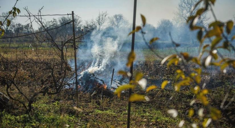A kerti hulladék égetésén és a zebrákon is kiakadtak olvasóink