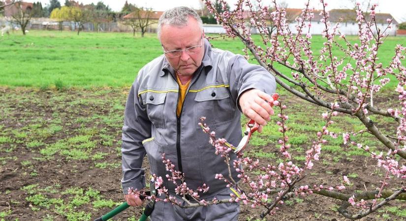 Irány a tanyára! Ilyen időjárás vár ránk délután