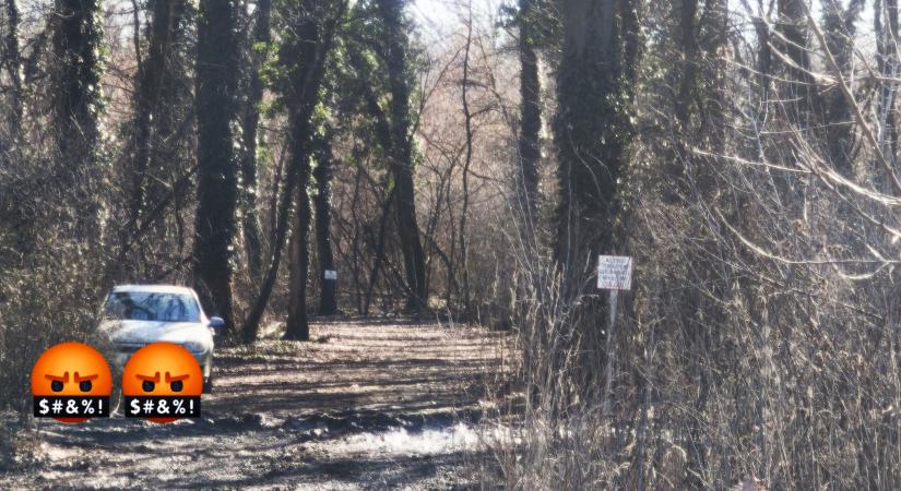 Tilalom ide, tilalom oda: pimasz autós hajtott be az Olga-szoborhoz vezető erdei útra