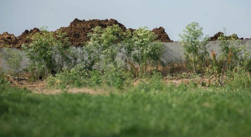Oda a jószomszédi viszony: ököllel verte meg haragosát egy hajdú-bihari férfi!