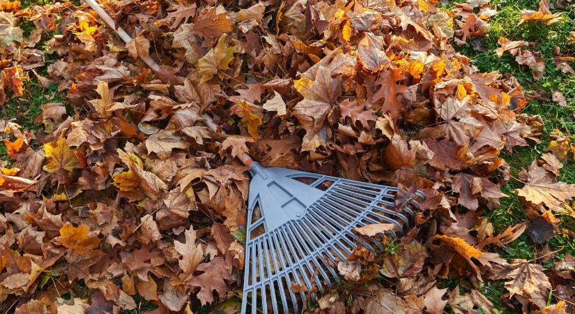 Márciustól újra nyitva a zöldhulladék-lerakó Sárisápon
