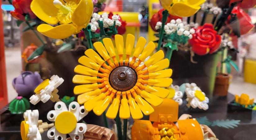 A külföldi piac felé kacsintgat az egyik legnagyobb magyar játékcég – erős évet zárt a Regio, stabil a növekedés