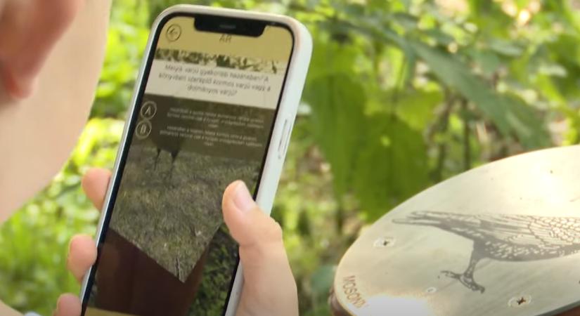 Rudolf-liget új tanösvény: szigetközi „bálnavadászat” Mosonmagyaróváron