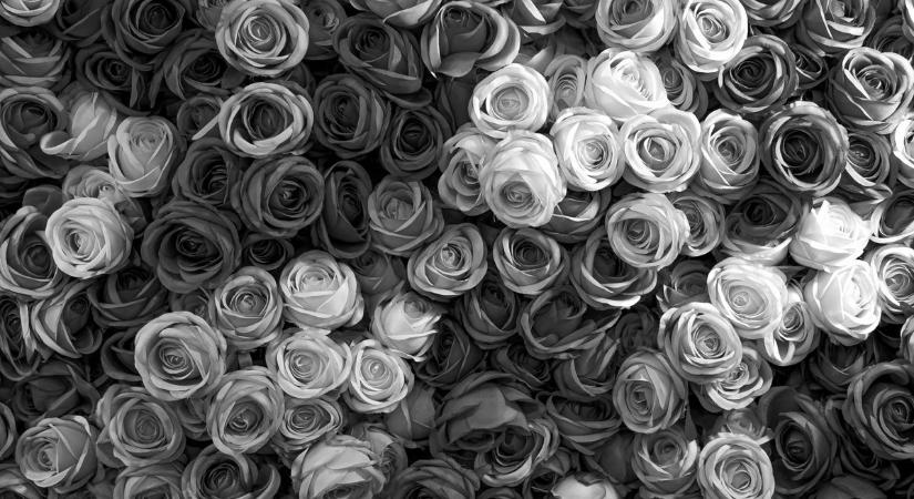 Elhunyt Vaganjan Vagan, az Örmény Nemzetiségi Önkormányzat képviselője