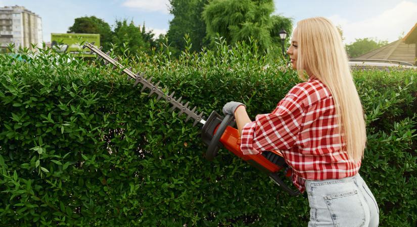 Ez a sövénynyírás csínyja-bínja a profi kertészek szerint