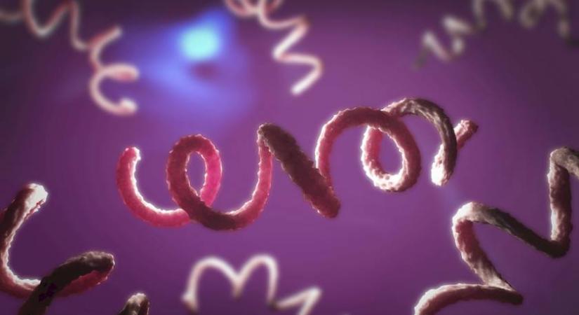 Megduplázódott a magyar betegek száma, rohamosan terjed ez a veszélyes kór