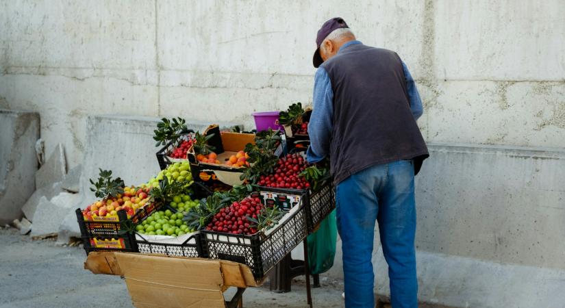 NGM: rugalmasabb feltételekkel pályázhatnak a hazai mikro- és kisvállalkozások a telephelyfejlesztésre