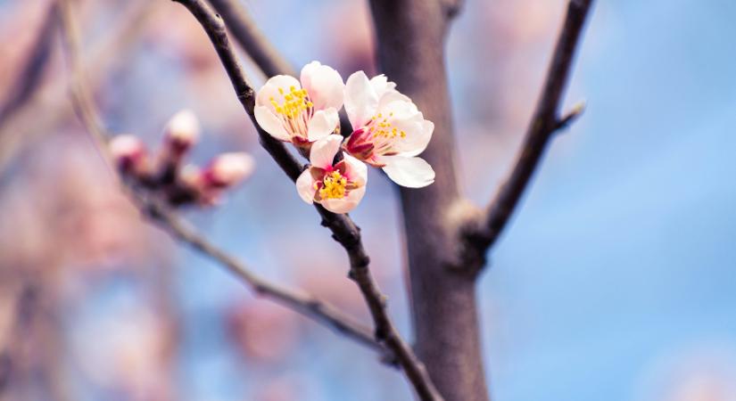 Itt a 18 fokos tavasz, de lesz ahol villámok fénye váltja fel a napsütést