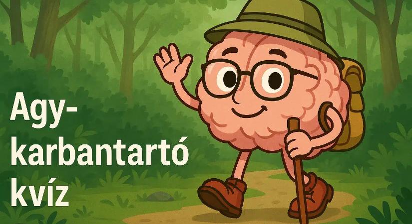 Napi agykarbantartó kvíz: 7 kérdésből mennyire tudod a jó választ? Teszteld le tudásod!