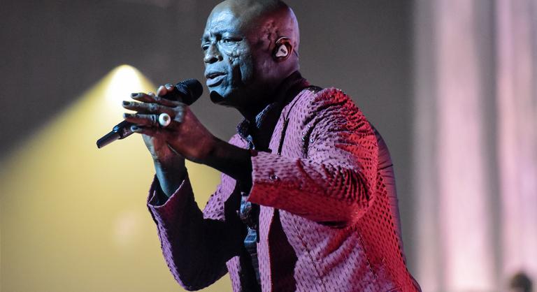 Tizenöt év után újra Budapestre érkezik Seal