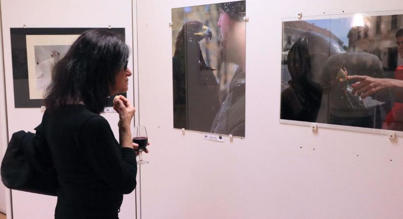 Kokárdától Csárdáskirálynőig – Így indul a március a Pécsi Kulturális Központban