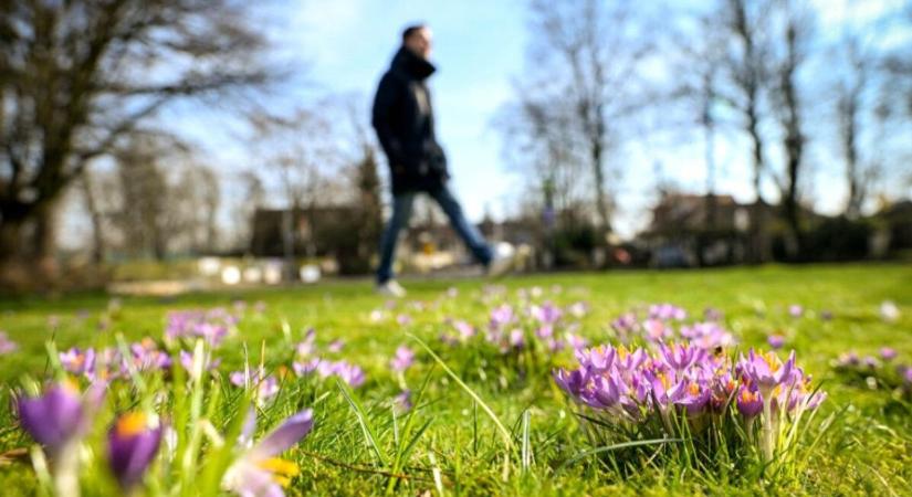 Tavaszias fordulat Tolnában: napos, enyhe kedd délután vár a megyére