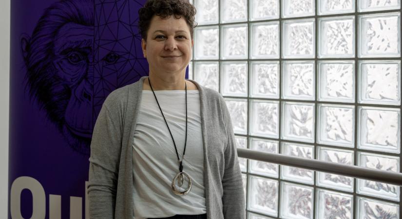 Mihez kezd a modern jogrendszer egy fejkendővel, egy gyanúsan csengő névvel, egy gettóra utaló lakcímmel?