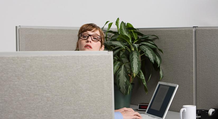 Erősíti a munkatársak összetartását, ha közösen utálhatják a főnöküket