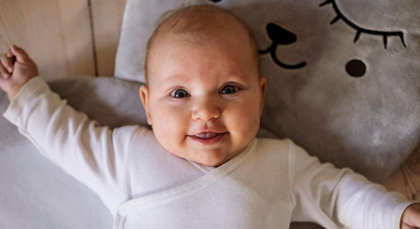 Laci Sopron legfiatalabb lakója