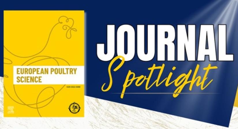 Magyar tudás lett Európa legjobbja: Világra szóló siker az óvári baromfi-kutatásban