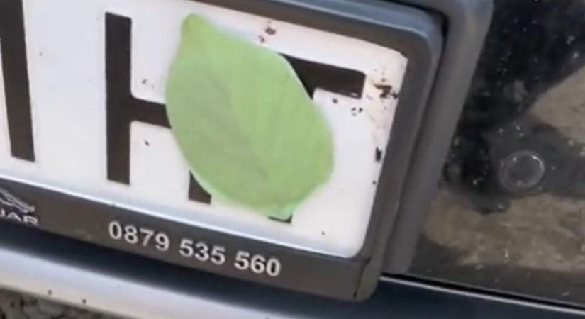 Hihetetlen trükkel verik át a traffipaxokat – ezért akár több év börtön is járhat!