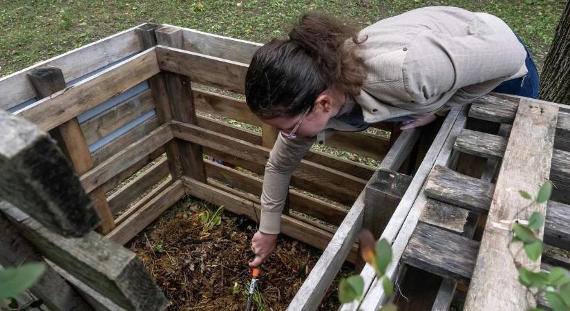 Most alapozzuk meg a szép kertet és a bőséges termést – a szakember elárulja, mire figyeljünk tavasszal