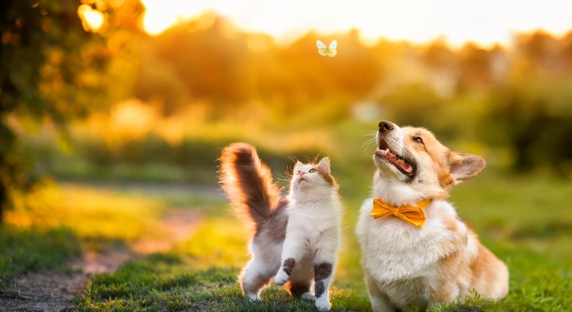 Napi horoszkóp 2026. márius 4: meglepő fordulatot jelez az Uránusz