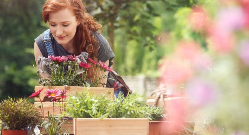 Óriási problémát jelenthet a kertedben ennek a féregnek az elszaporodása