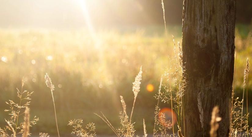 Ne dőljön be a reggeli fagynak: váratlan fordulatot tartogat az időjárás szerda délutánra