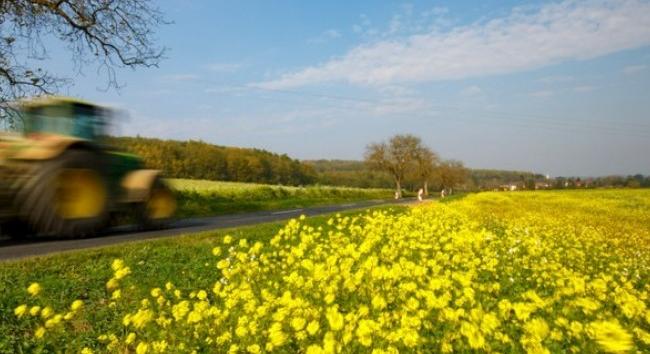 Enyhe és átlagos csapadékú volt a 2026-os február Magyarországon