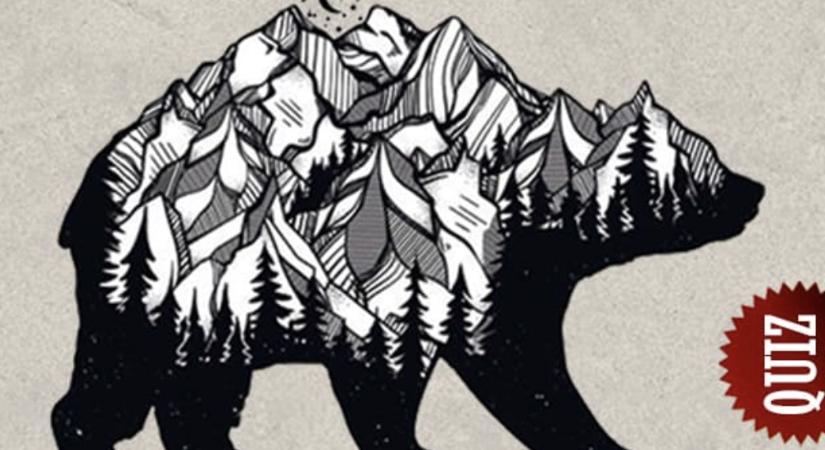 Személyiségteszt: Mit látott meg elsőként a képen? Felfedi az árnyékoldalát