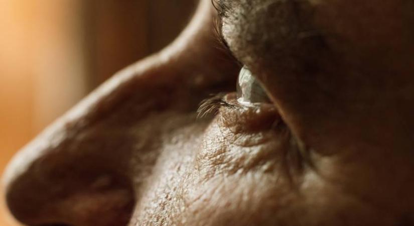 Ez az új eszköz lehet a megoldás az időskori vakságra: visszafordíthatja a makula degenerációt