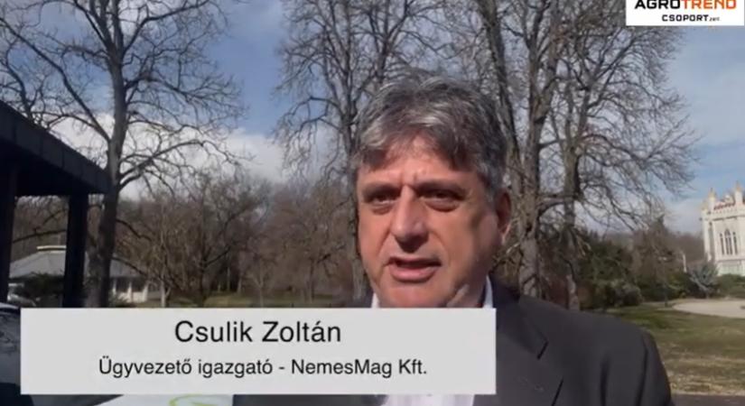 Martonvásár – interjú Csulik Zoltánnal