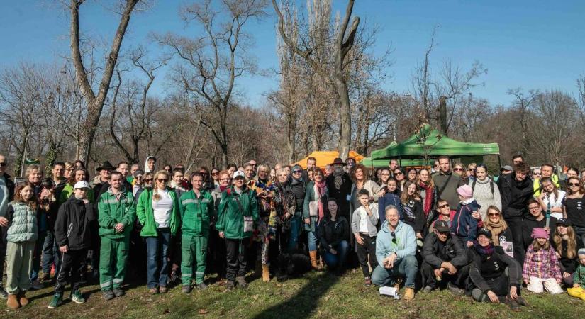Rekordot döntött az összefogás: 200 ezer új fa és 10 ezer dolgos kéz Magyarországért