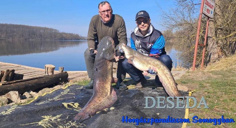 Újabb harcsákat zsákmányoltak ezen a tavon - fotó