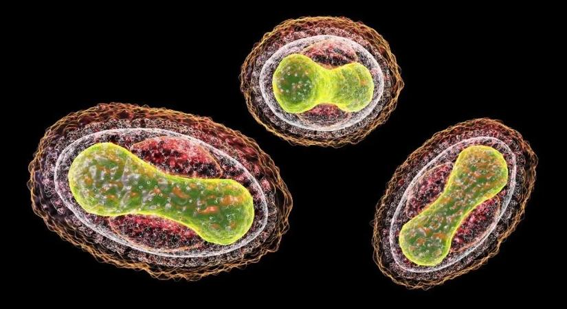 Spanyol nyaralás? Fertőzés miatt aggódhatnak a turisták