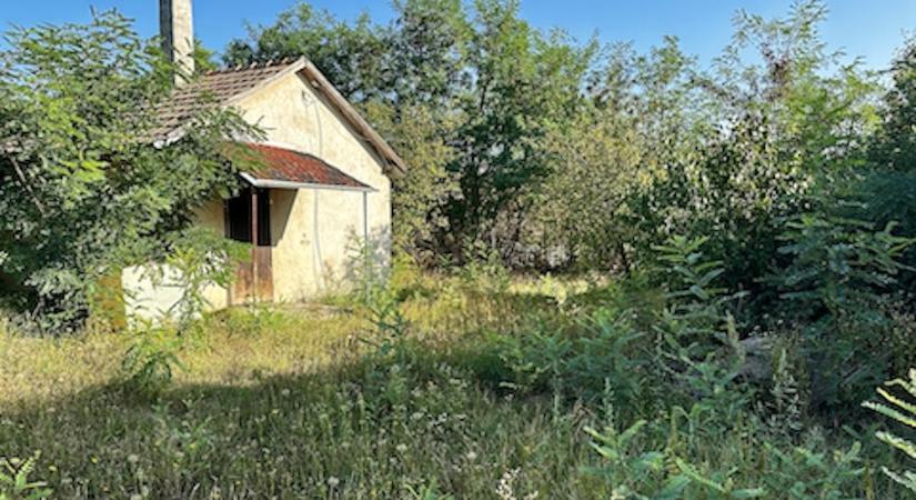 A zártkerti ingatlanok 10%-os beépíthetőségről döntött a győri közgyűlés